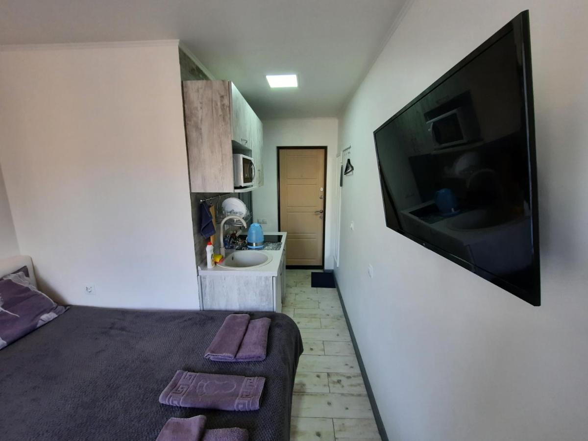 Apartment посуточно мини-студия метро дорогожичи Kiew